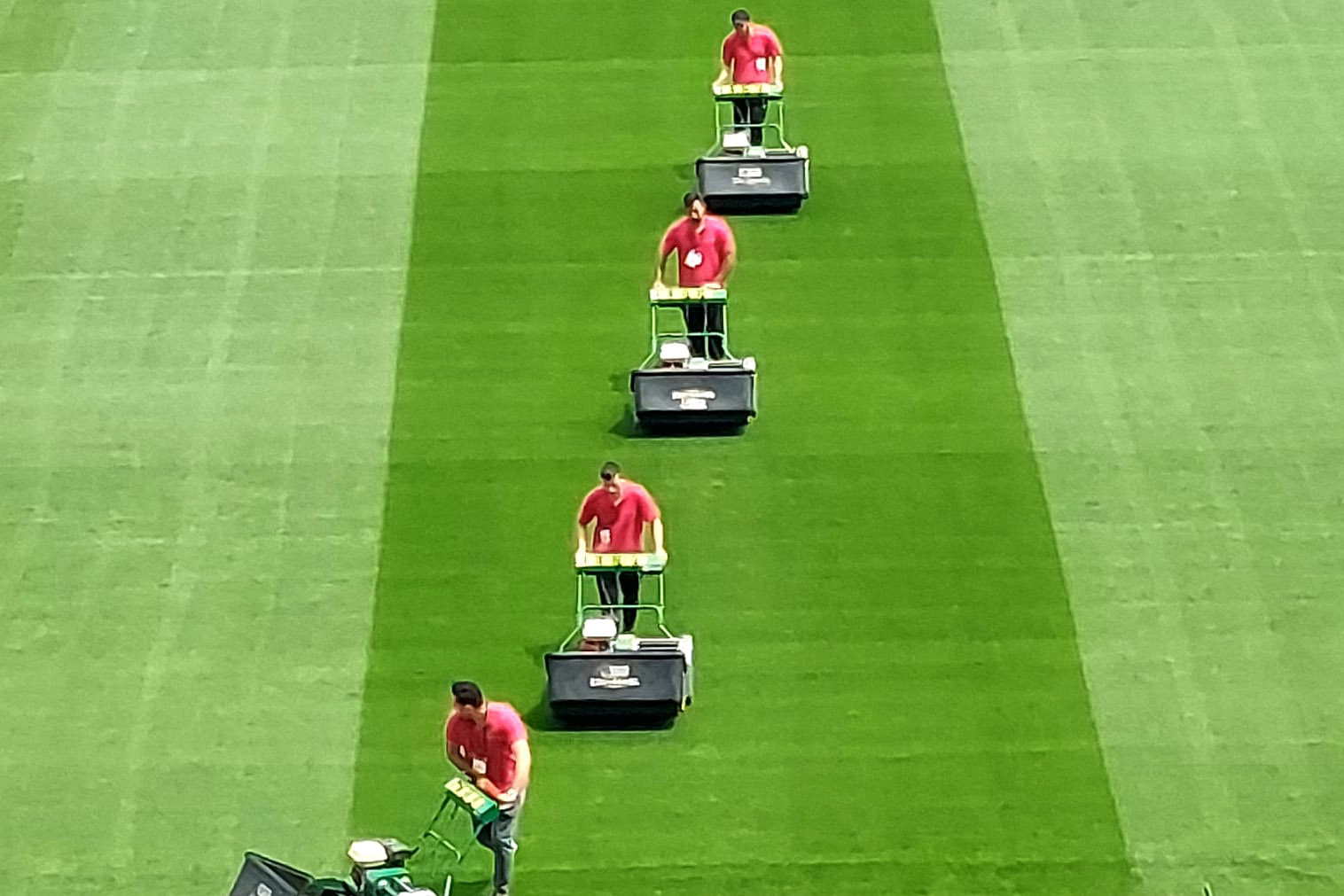 Maintenance makes perfect - Hatko Hybridgrass